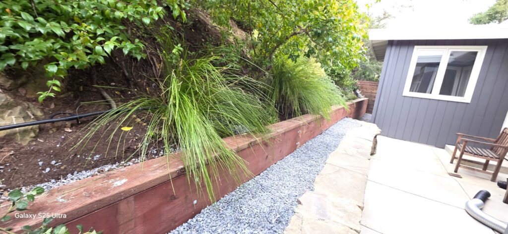 Yard Maintenance Services